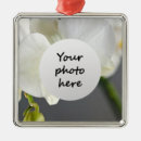 Suche nach orchideen blume ornamente Blumenreich