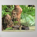 Suche nach schlangen poster Foto