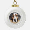 Suche nach coonhound ornamente Für alle