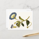 Suche nach kuriositäten postkarten Pflanze