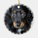 Suche nach würstchen ornamente Welpe