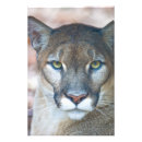 Suche nach beute poster Tier