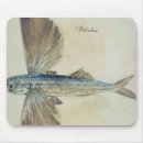 Suche nach fliegender fisch Weiß