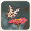 Suche nach monarchfalter untersetzer Schmetterling