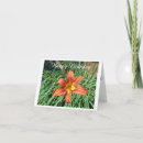 Suche nach orange lilie karten Fotografie