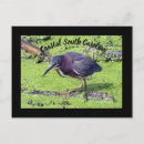 Suche nach heldin postkarten Tierwelt