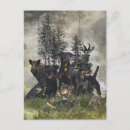 Suche nach arbeitspferd postkarten Jagdterrasse