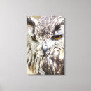 Suche nach tierauge leinwandbilder Nah up