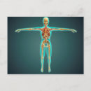 Suche nach arterien postkarten Ausgestreckte arme