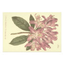 Suche nach rhododendron poster Vintag