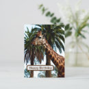 Suche nach funny giraffe postkarten Tierwelt