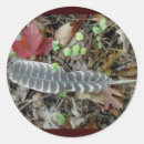 Suche nach turkey aufkleber Tiere