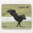 Suche nach stuten mousepads Stallion