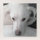 Suche nach regal puzzle Niedlich