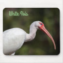 Suche nach ibis mousepads Tierwelt