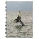 Suche nach wal kleine notizbücher Muster