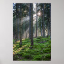 Suche nach württemberg poster Schwarzer wald