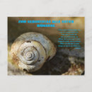 Suche nach schnecken postkarten Natur