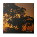 Suche nach savannen fliesen Landschaft