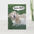 Suche nach 70 geburtstags hund karten Siebzig