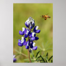 Suche nach beschäftigt poster Blume