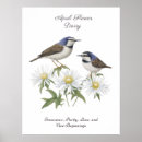 Suche nach april poster Blume von april