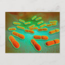 Suche nach mikroben postkarten Organismus