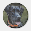 Suche nach jagd magnete Welpe