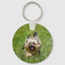 Suche nach yorkshire terrier schlüsselanhänger Hund