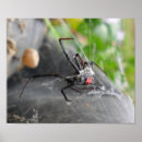 Suche nach witwe poster Gruselig