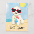 Suche nach bichon postkarten Urlaub