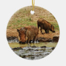 Suche nach stoßzähne ornamente Tier