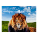 Suche nach majestätischer löwe poster Wald