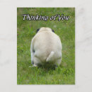 Suche nach pug postkarten Haustier