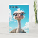 Suche nach ostrich karten Vogelvogel