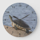 Suche nach schildkröte wanduhren Tiere