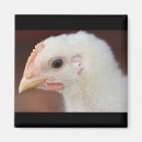 Suche nach weiche magnete Vogel