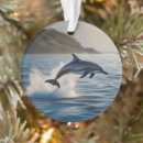 Suche nach delfine ornamente Meer