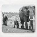 Suche nach kälber mousepads Afrikanischer elefant