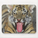 Suche nach bengalische tiger mousepads Im freien
