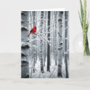 Suche nach birkenwald karten Tulpen rot