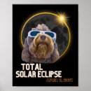 Suche nach eclipse poster Solarsonde