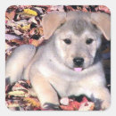 Suche nach schlau aufkleber Hund