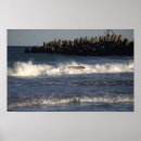 Suche nach surfboard poster Ozean