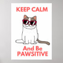 Suche nach cool cat poster Kitten