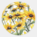 Suche nach gelbe augen aufkleber Botanisch