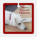 Suche nach niedlicher hund ornamente Jede person