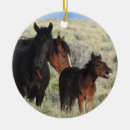 Suche nach wildpferde ornamente Wildtiere