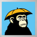 Suche nach ape poster Schimpanse