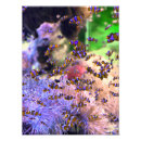 Suche nach clownfische poster Aquarium
